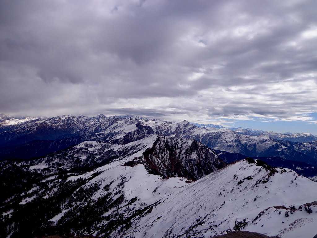 Image 6